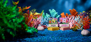 SpongeBob 4-Pack H5