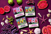 SpongeBob 4-Pack H5