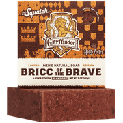 Bricc of the Brave U4