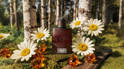 Midnight Birch Cologne K3