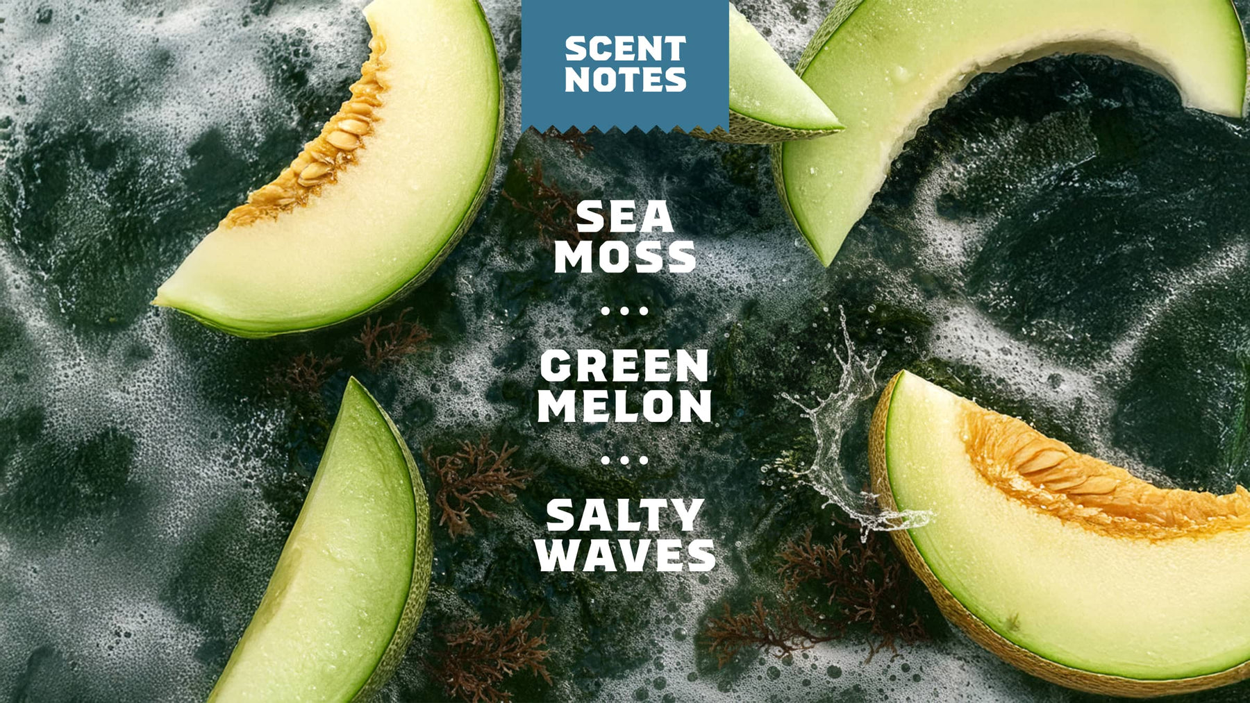 Coastal Mist Hand Soap Q7