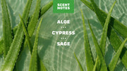 Cool Fresh Aloe Lotion R5