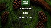 Pine Tar Lotion N7