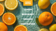 Summer Citrus Hand Soap B9