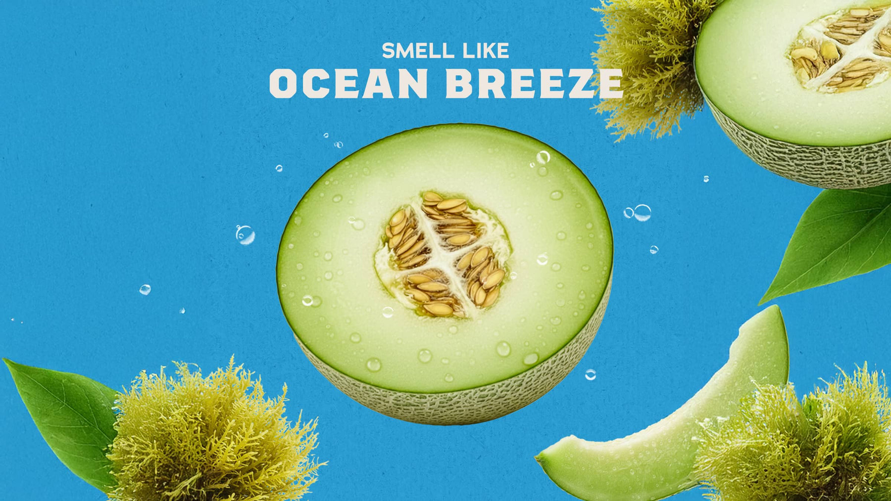 Coastal Mist Hand Soap Q7