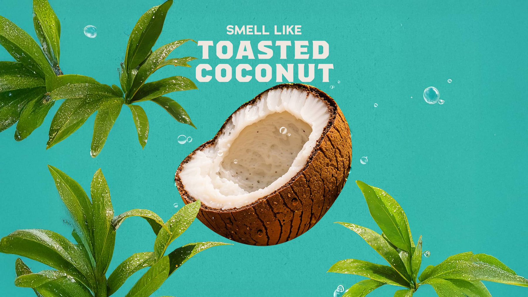 Coconut Castaway Hand Soap U2