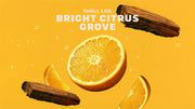 Summer Citrus Hand Soap B9